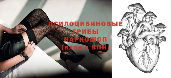 мяу мяу мука Арсеньев