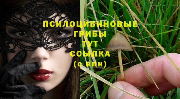 каннабис Аркадак