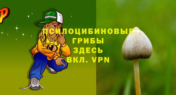 гашик Армянск