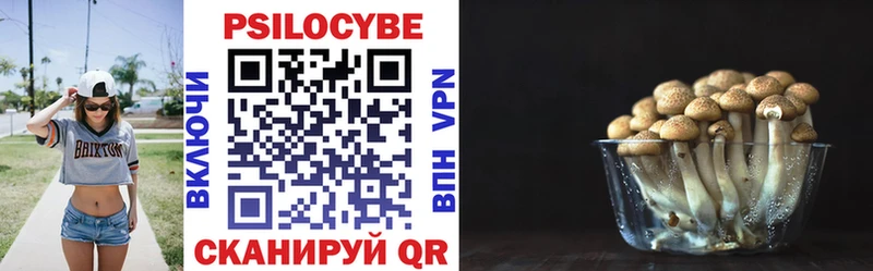 Псилоцибиновые грибы Psilocybine cubensis  где найти   Дыгулыбгей 
