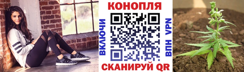 Бошки Шишки SATIVA & INDICA Дыгулыбгей